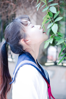狼殿下免费观看全集完整版在线观看